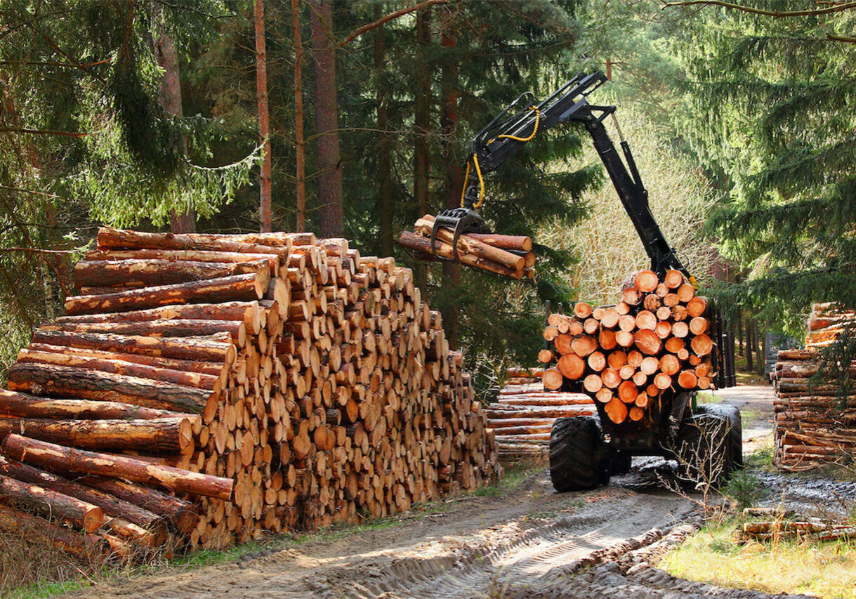 Lumberjack with modern harvester working in a forest. Wood as a